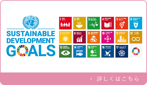 SUSTAINABLE DEVELOPMENT GOALS